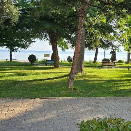 Luxury Lakeview